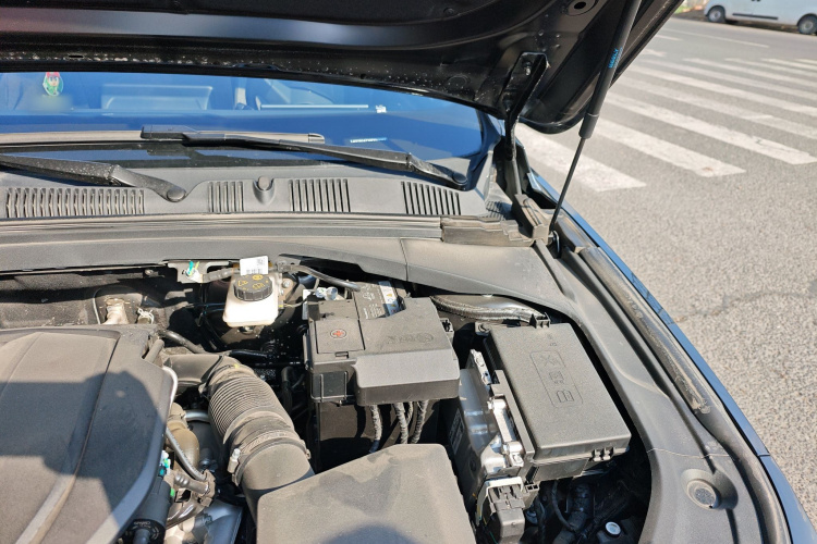 Preface 2025 car image #33