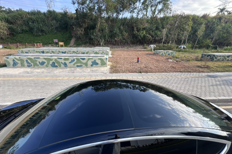 Tesla Model 3 2020 car image #33
