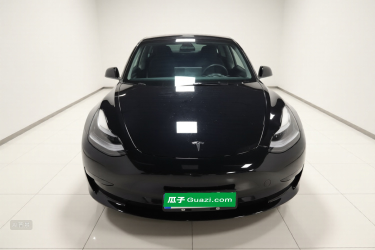Tesla Model 3 2023 immagine di auto #3