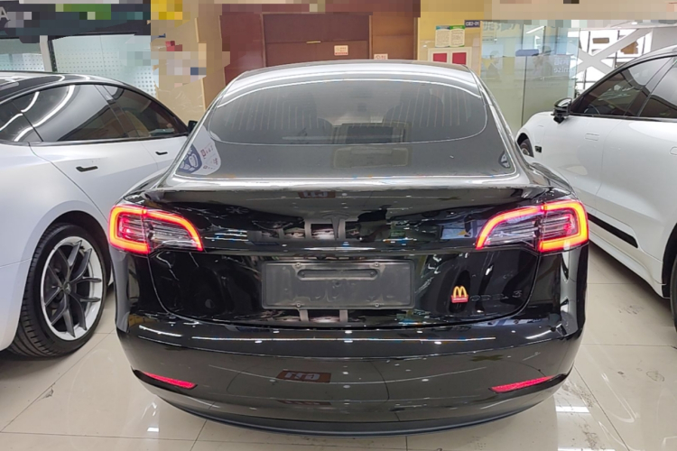 Tesla Model 3 2020 car image #6