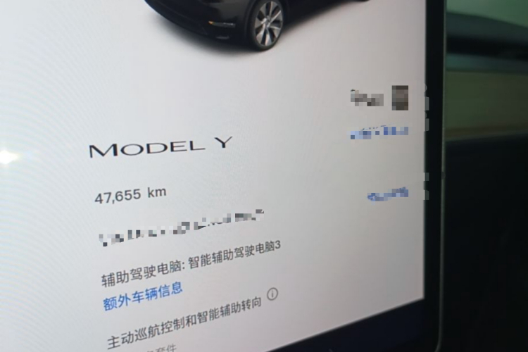Tesla Model Y 2022 car image #16