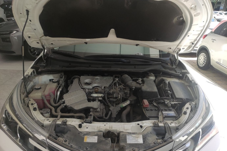 Toyota Corolla 2019 car image #22