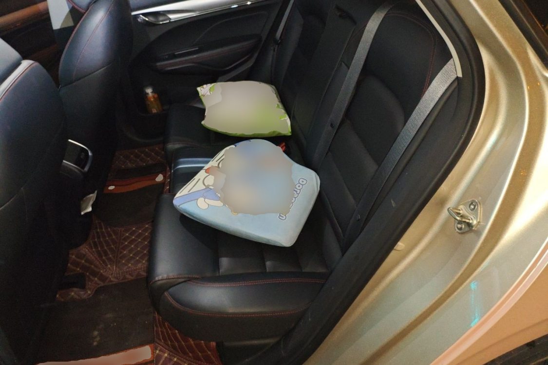 GEELY Binray 2020 #19 GEELY Binray 2020 car image #19