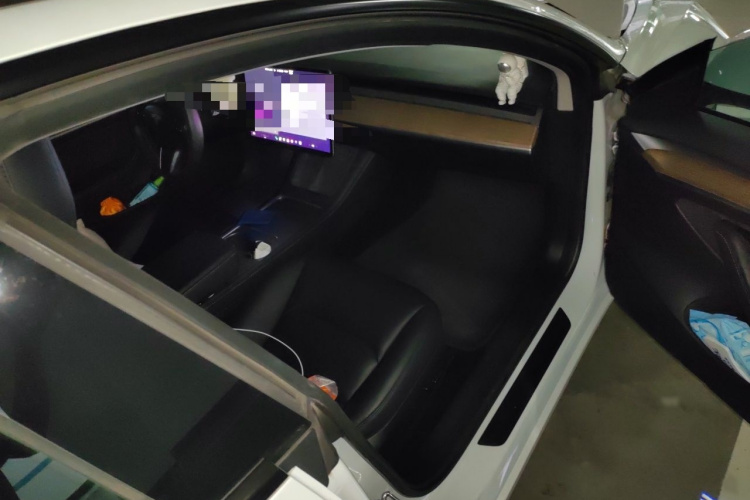 Tesla Model 3 2021 #25 Tesla Model 3 2021 car image #25
