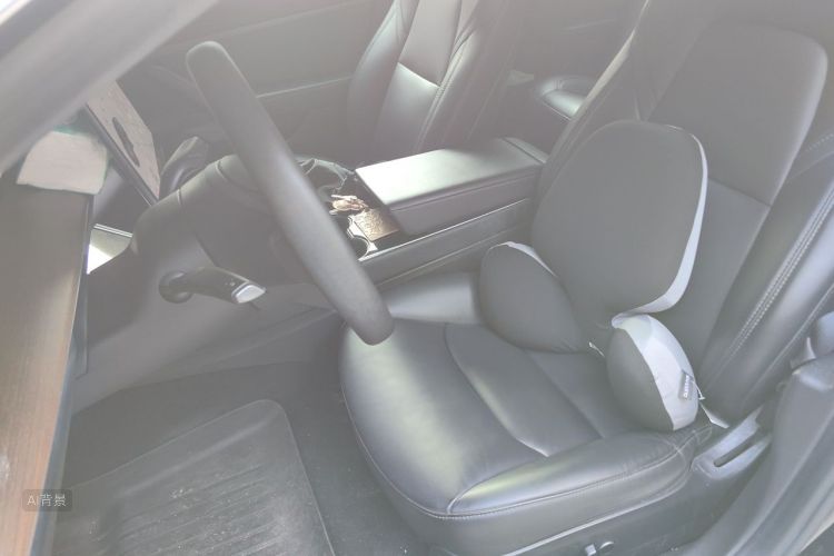 Tesla Model 3 2020 car image #17