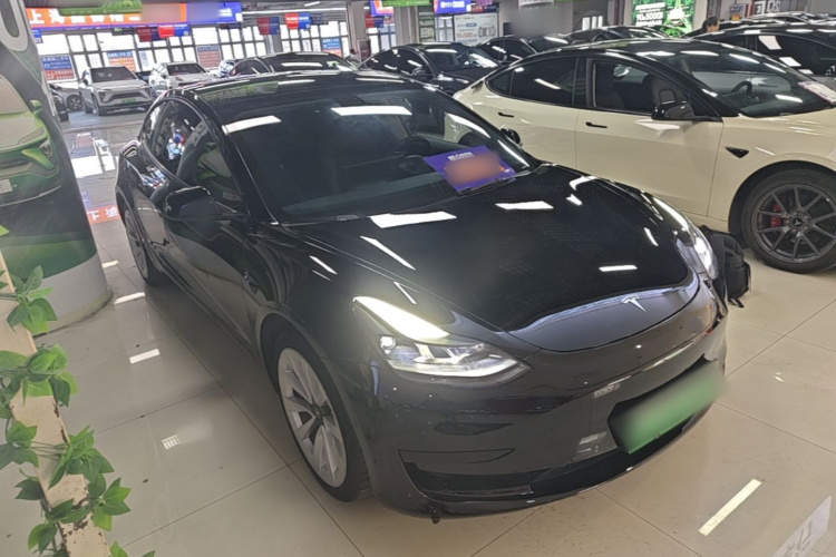 Tesla Model 3 2021 #4 Tesla Model 3 2021 car image #4