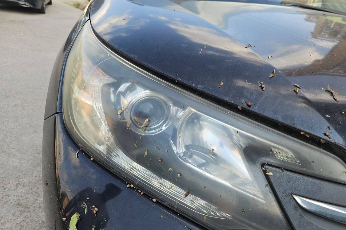 Honda CR-V 2013 car image #7