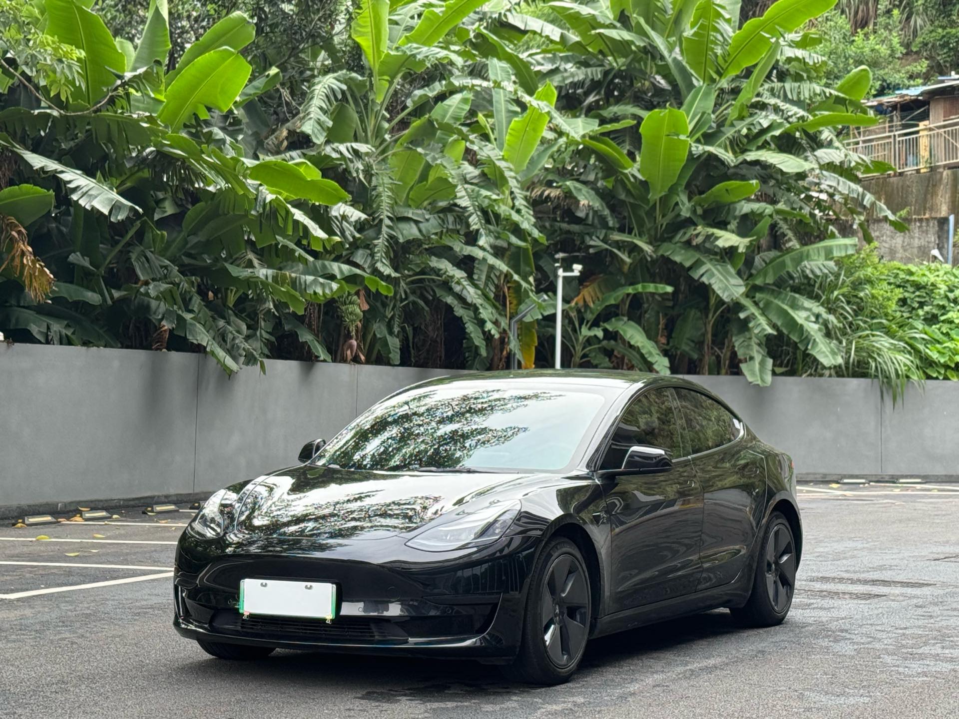 Tesla Model 3 2022 Tesla Model 3 2022 car image