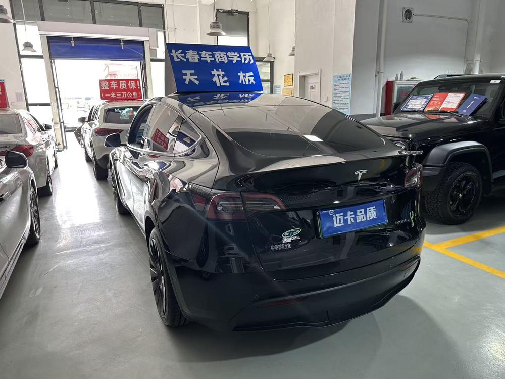 Tesla Model Y 2023 #4 Tesla Model Y 2023 car image #4