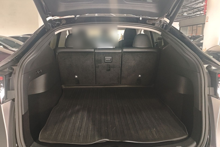 Tesla Model Y 2021 car image #19