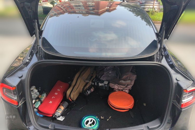 Tesla Model 3 2020 car image #21