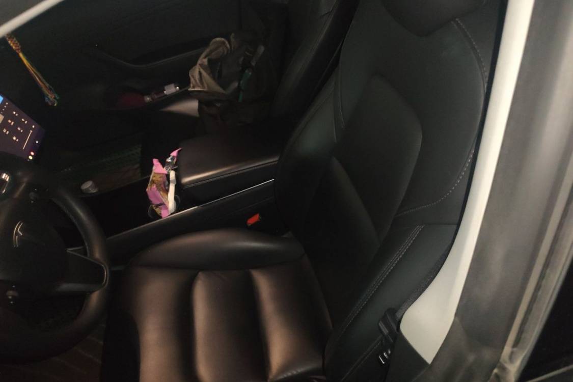 Tesla Model 3 2020 #18 Tesla Model 3 2020 car image #18