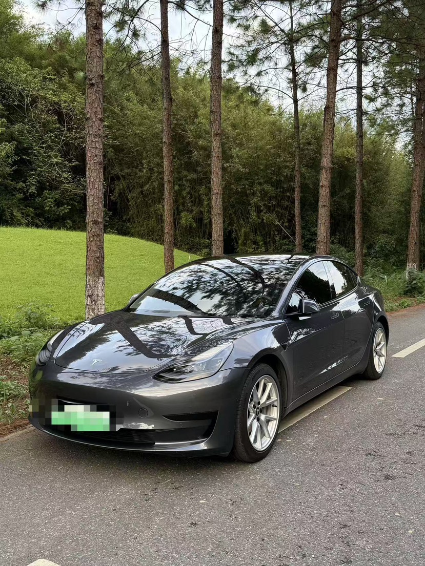 Tesla Model 3 2021 car image 
