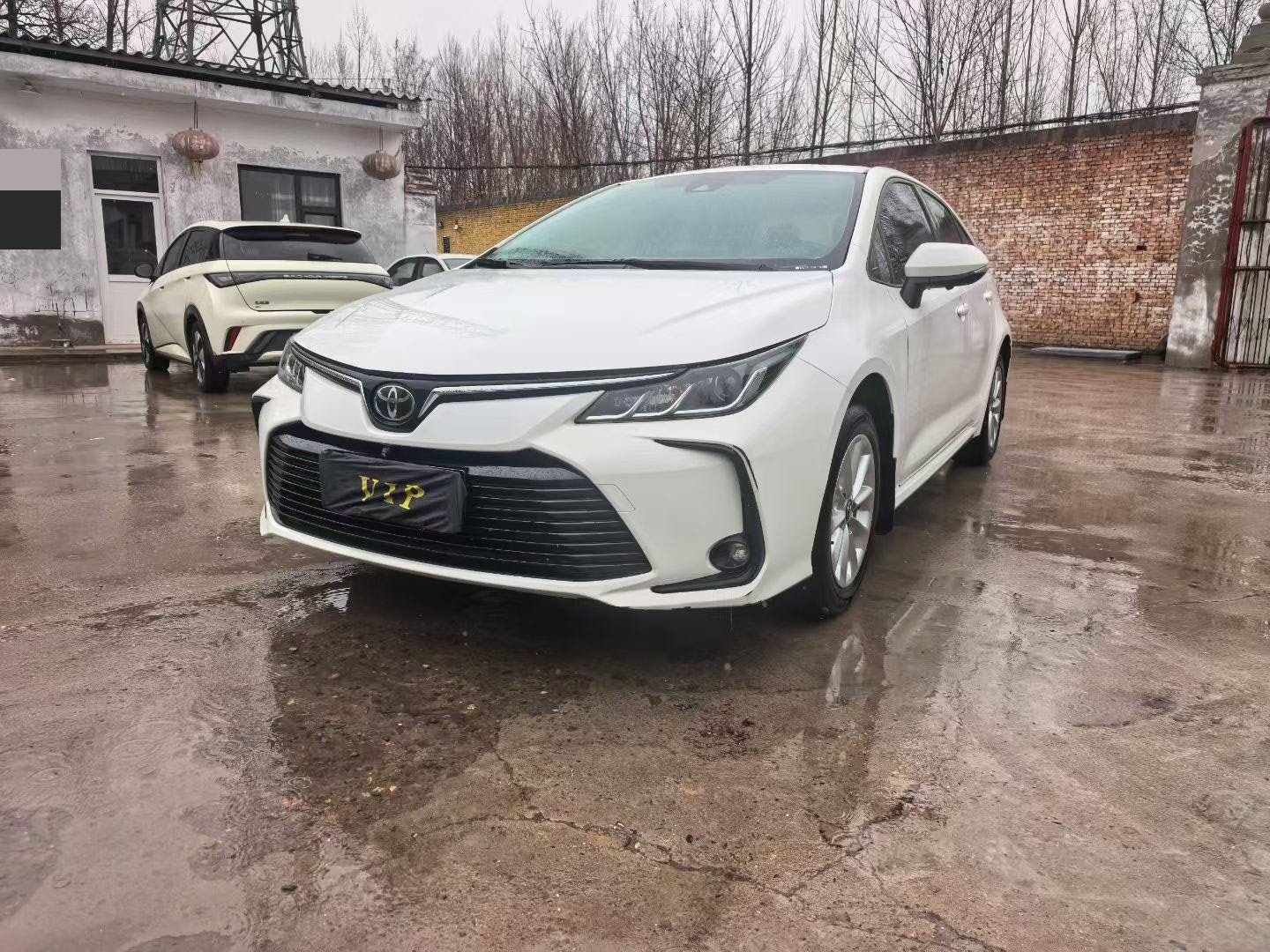 Toyota Corolla 2021 汽车图片 