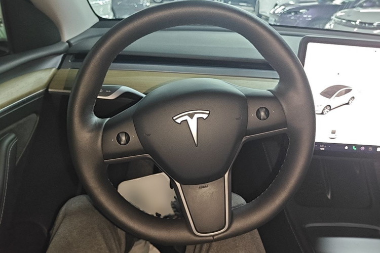 Tesla Model Y 2023 car image #11