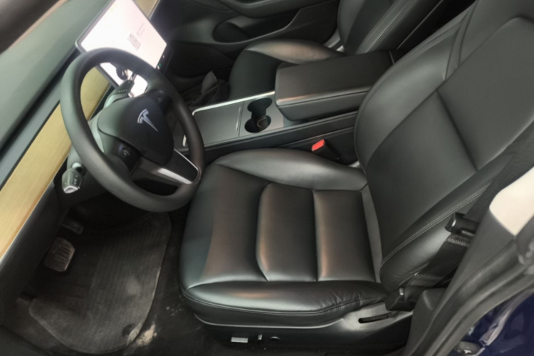 Tesla Model 3 2021 car image #15