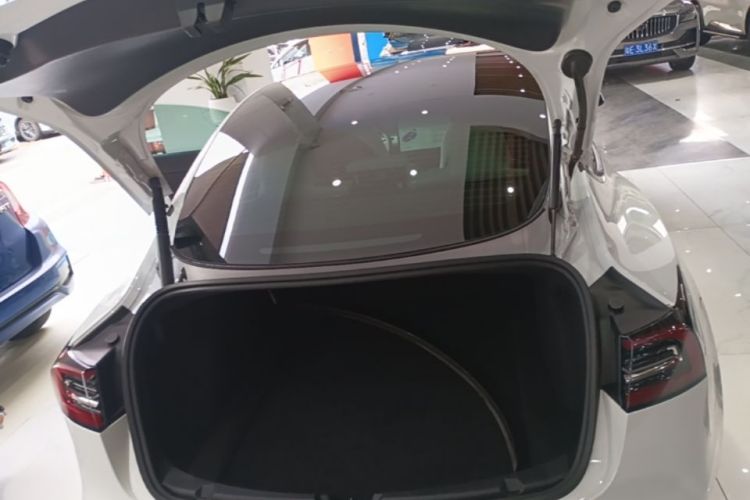 Tesla Model 3 2021 car image #21