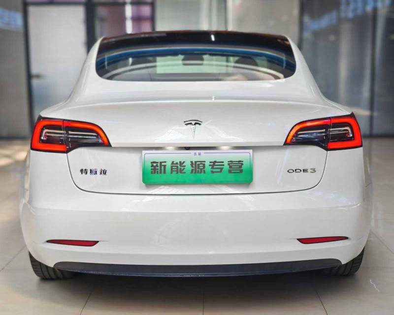 Tesla Model 3 2021 #4 Tesla Model 3 2021 car image #4
