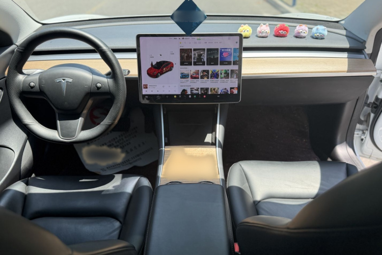 Tesla Model 3 2020 car image #10
