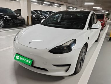 Tesla Model 3 2022 Tesla Model 3 2022 car image