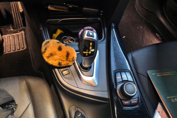BMW 3 Series 2017 immagine di auto #16