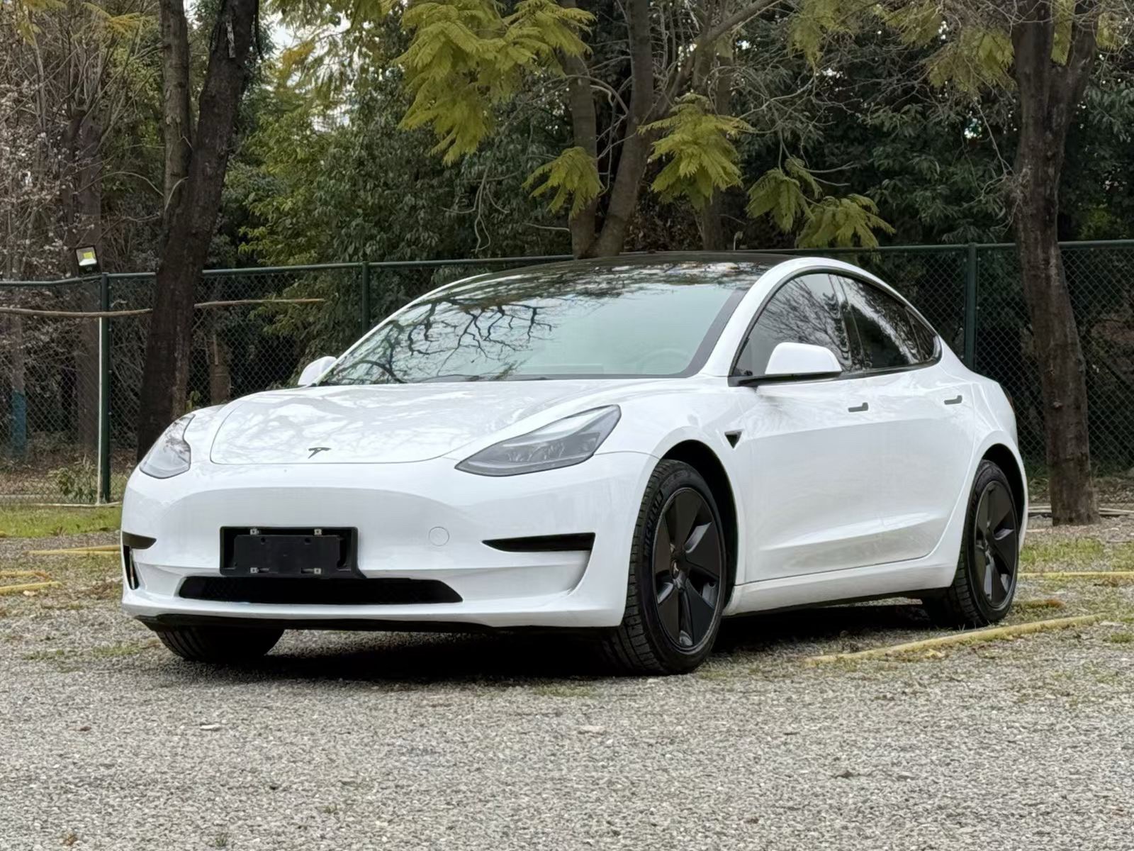 Tesla Model 3 (Imported) 2019 Tesla Model 3 (Imported) 2019 car image