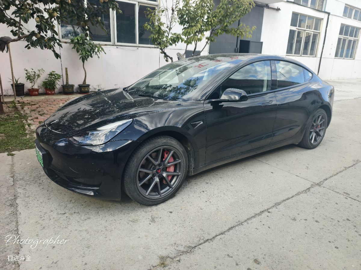 Tesla Model 3 2021 Tesla Model 3 2021 car image