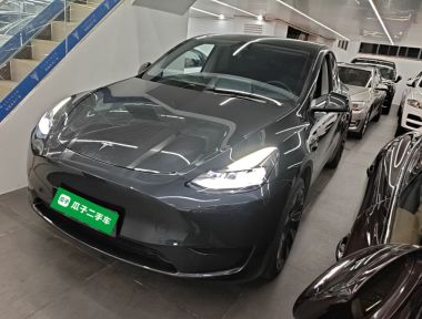 Tesla Model Y 2024 Tesla Model Y 2024 car image