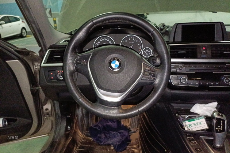 BMW 3 Series 2016 car image #12