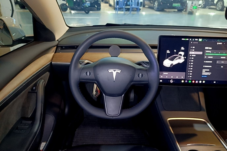 Tesla Model 3 2021 #11 Tesla Model 3 2021 car image #11