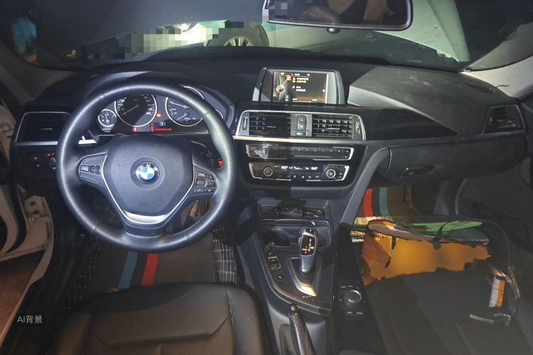 BMW 3 Series 2017 car image #11