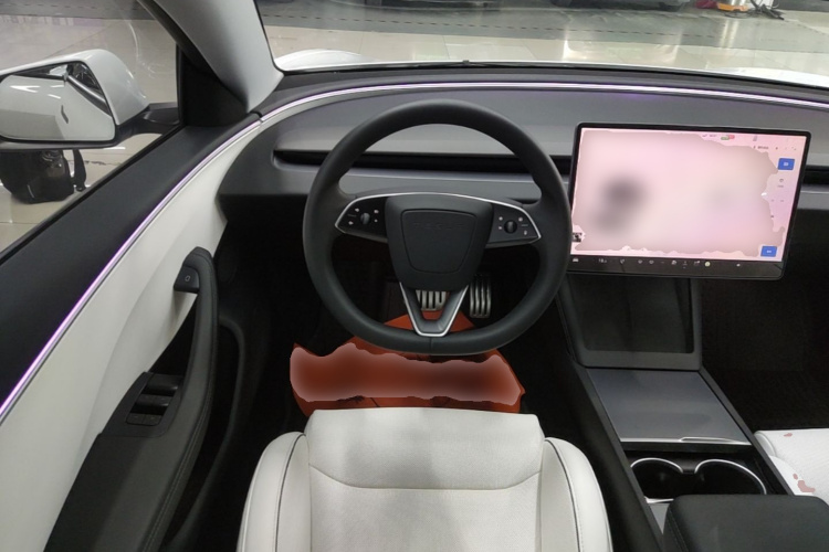 Tesla Model 3 2024 immagine di auto #11