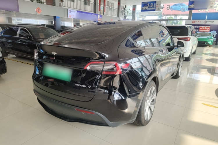 Tesla Model Y 2023 #7 Tesla Model Y 2023 car image #7