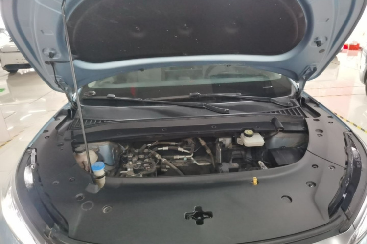 BYD Yuan Plus 2023 car image #22