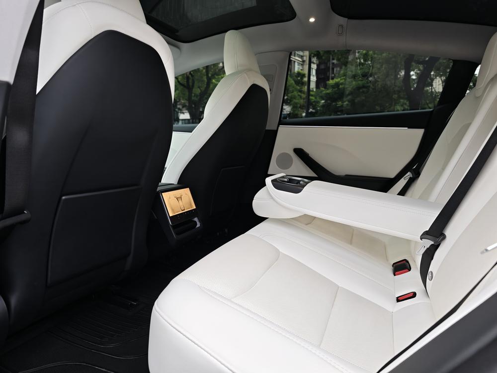 Tesla Model 3 2023 #16 Tesla Model 3 2023 car image #16