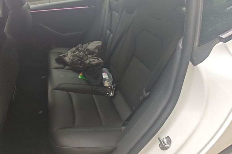Tesla Model 3 2024 imagem de carro #17