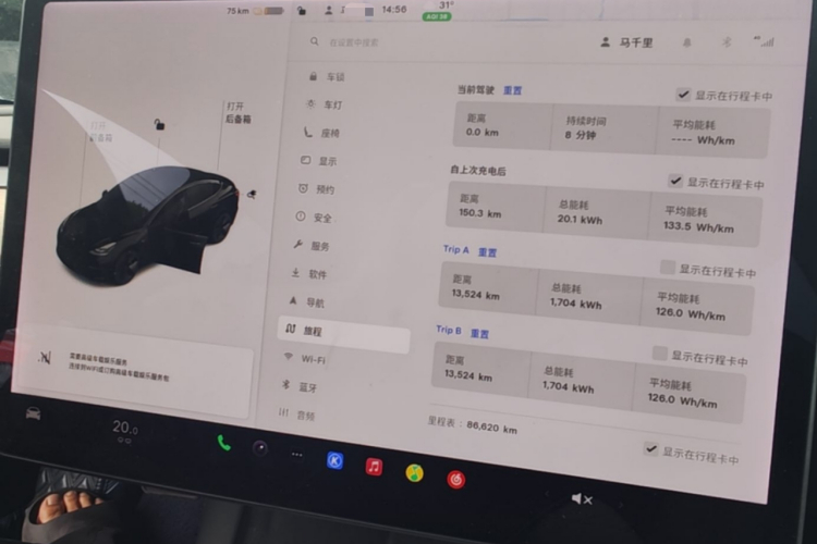 Tesla Model 3 2021 car image #12