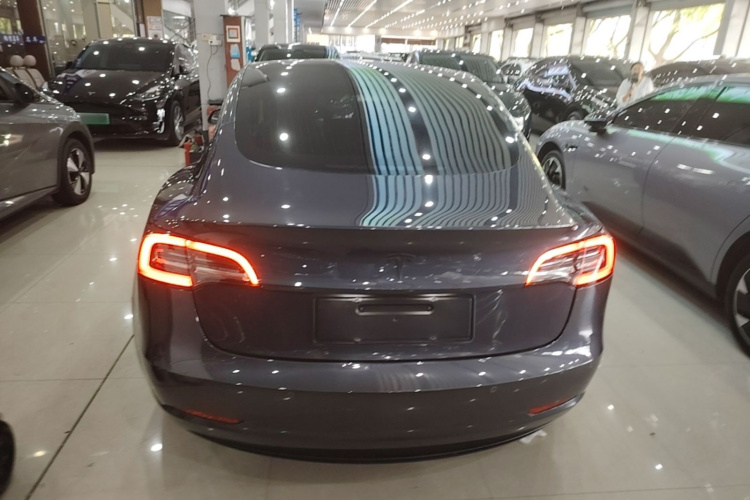 Tesla Model 3 2021 #6 Tesla Model 3 2021 car image #6