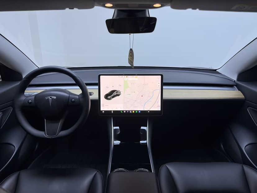 Tesla Model 3 2020 car image #6