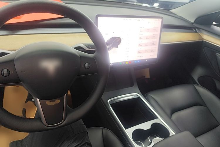 Tesla Model 3 2022 immagine di auto #10
