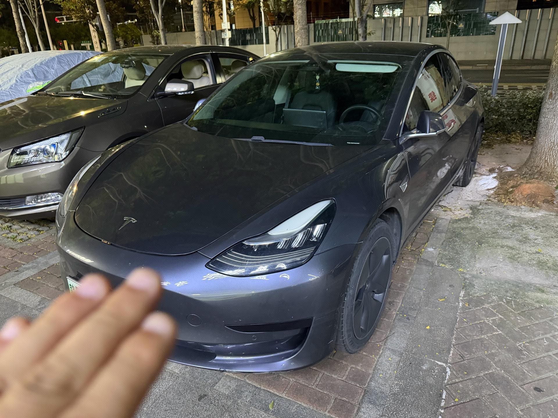 Tesla Model 3 2021 car image 