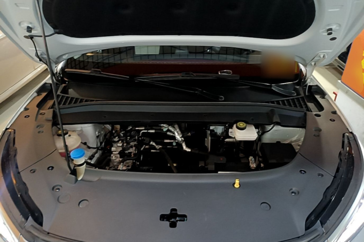 BYD Yuan Plus 2023 car image #20