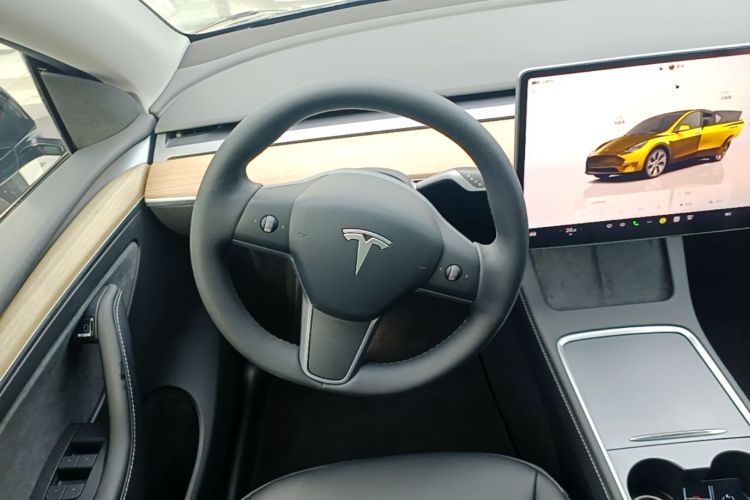 Tesla Model Y 2023 #11 Tesla Model Y 2023 car image #11