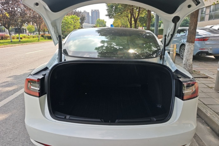 Tesla Model 3 2021 #19 Tesla Model 3 2021 immagine di auto #19