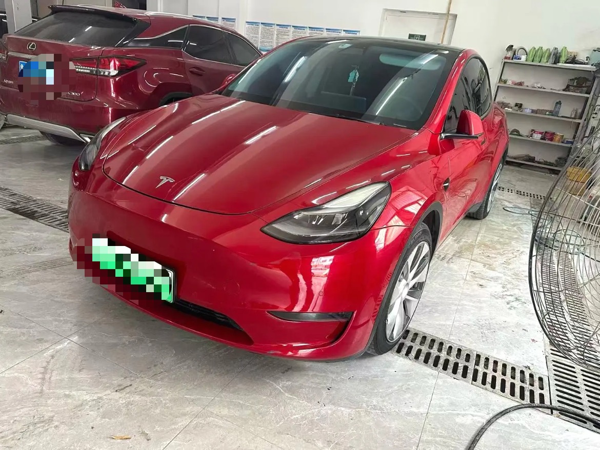 Tesla Model Y 2021 Tesla Model Y 2021 car image