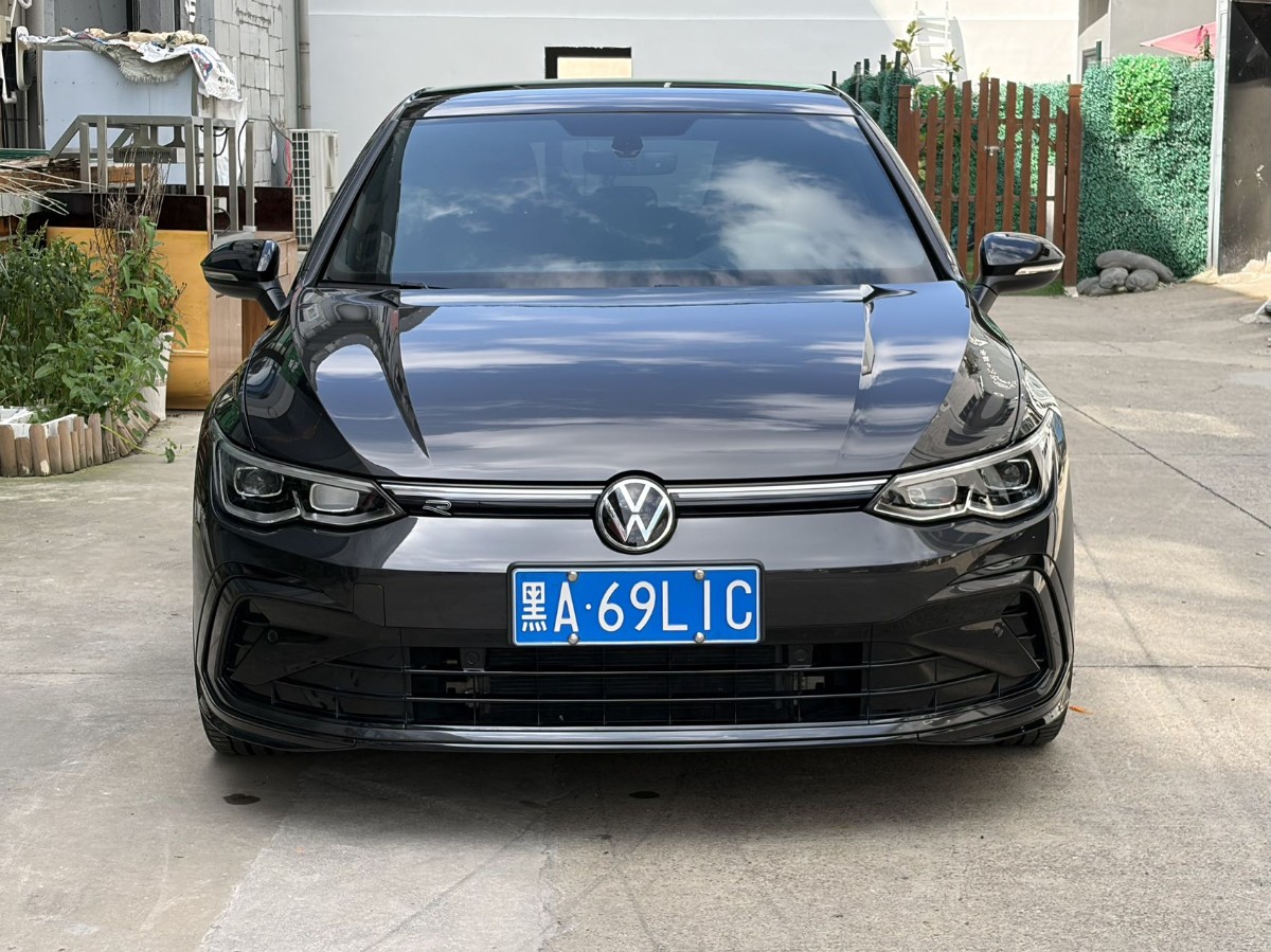Volkswagen Golf 2023 immagine di auto #2