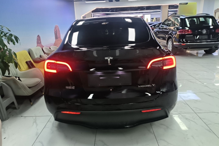 Tesla Model Y 2023 #6 Tesla Model Y 2023 car image #6