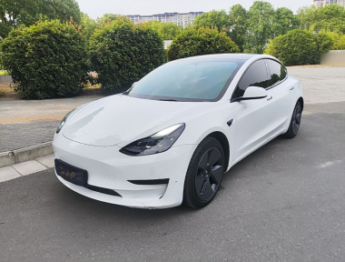 Tesla Model 3 2023 Tesla Model 3 2023 car image