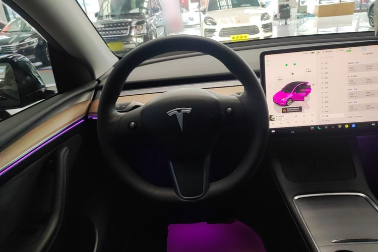 Tesla Model Y 2022 car image #15