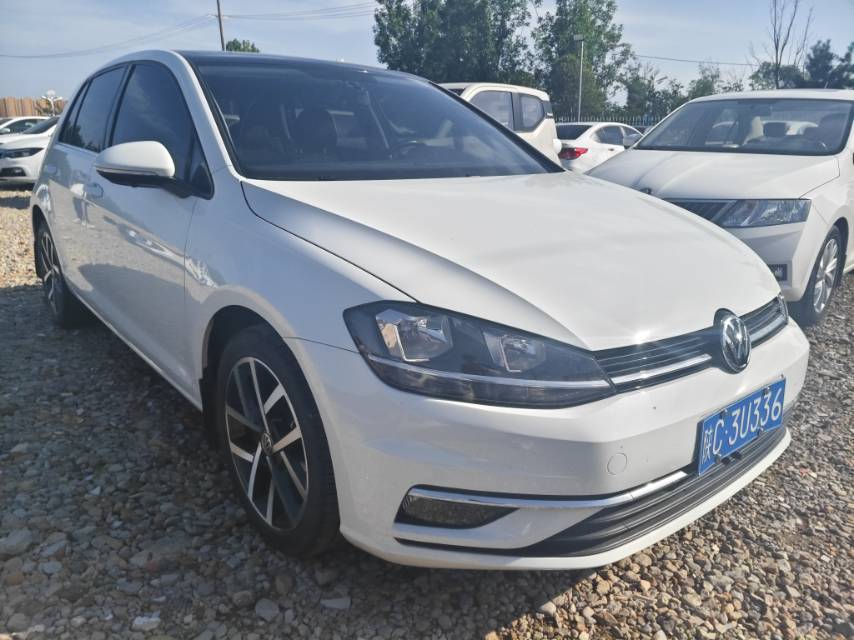 Volkswagen Golf 2020 #3 Volkswagen Golf 2020 car image #3
